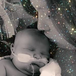 Meet your Posher, Carmen